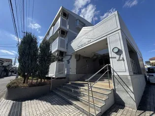 ドゥジェーム ニイヤの画像