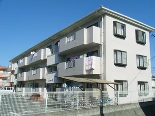 ニューグリーンFの画像