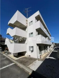 ドミールアオキ 300Bの画像