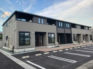 エーデルワイスの画像