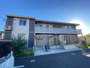 ロイヤルシダーズの画像