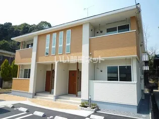 グランデ蔦の画像