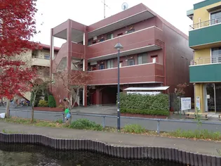 グリーンパークシオンの画像