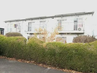 サンホワイトBの画像