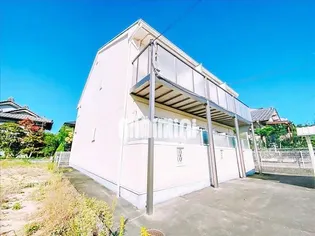 HERMIT CRABの画像