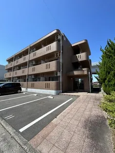 シルク林Ⅱの画像