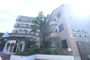 テラート2の画像