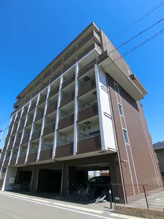 アヴリルの画像