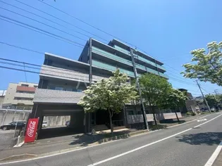 グレースVIIの画像