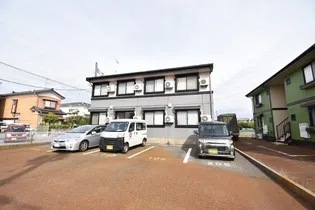 ビオラセアの画像