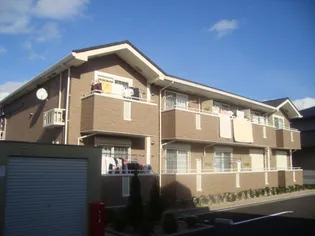 サンフィットの画像