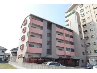 第5シャンポールの画像