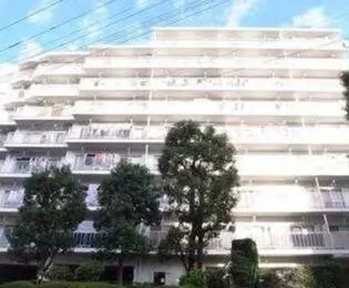 目白ガーデニアの画像