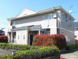 ビイラ ファインAの画像