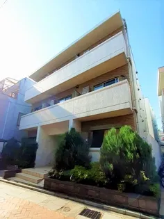 セレッソ 和 IIIの画像