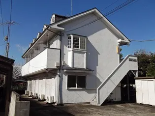 オオワダマリオンの画像