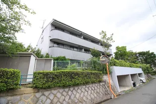 メイフォレストの画像