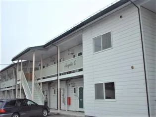 アンジェリックCの画像