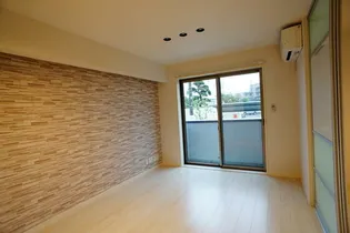 ファレノプシス アフロディテの画像