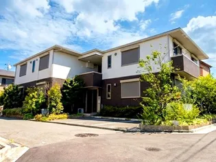 パーシモンBの画像