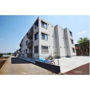 サンスクミの画像