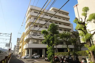 ブライトミカドの画像