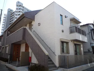 フリージアの画像