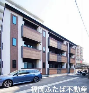 プラムグレイスの画像