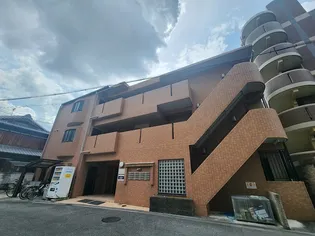 コータコートの画像