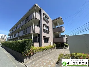 メゾンルミエールの画像