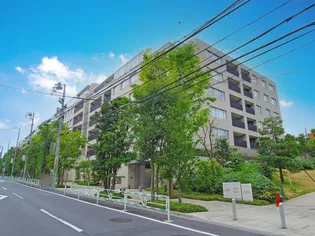 センチュリーフォレストの画像