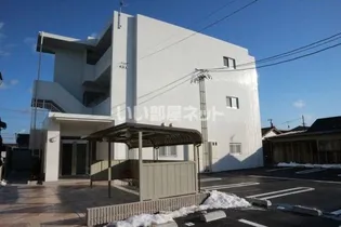 ベリッシーモの画像