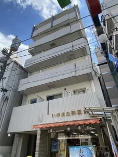 T HステラBの画像