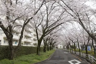 UR幸手の画像