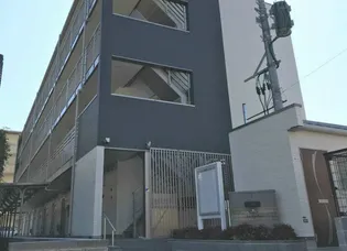 フェリーチェの画像