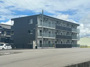 VIGORE SHIRASUKAの画像