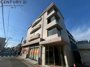 ハウゼミヤウラの画像