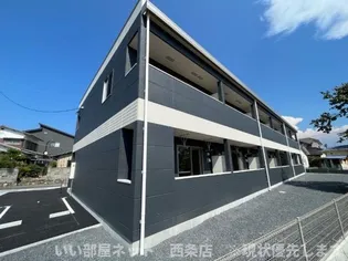 カメリア石井の画像