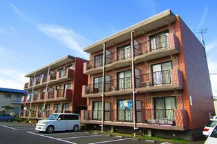 マヤリスマンション【3階】の外観