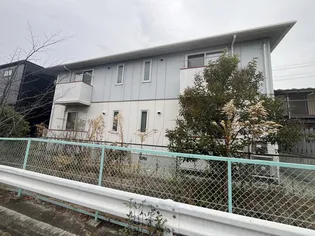 ペニーレーンの画像