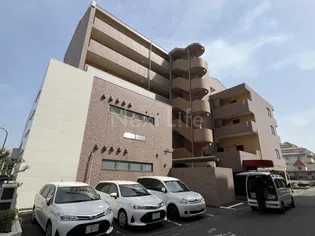 ケンブリッジアサカの画像