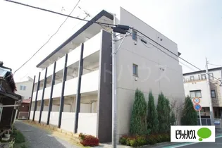 JON NOVI YOKOHAMAの画像