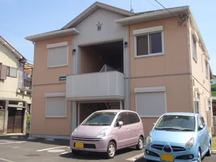 エーデルワイスの画像