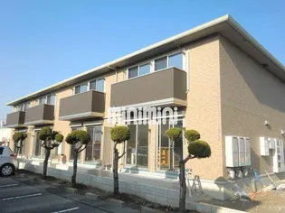 セジュール ココアの画像