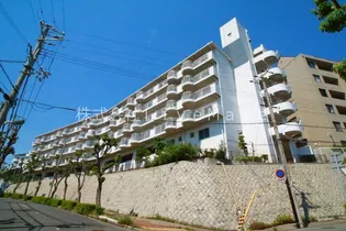 太陽ハイツの画像