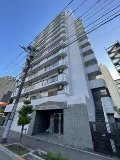 陽光ハイツ北上野【12階】の外観