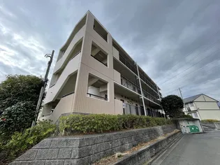 シャトーすみだの画像