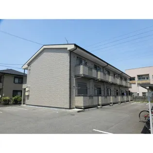SURPLUS M'S HILLの画像