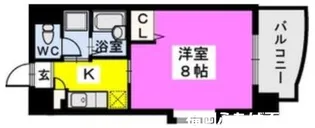BRILLIANT36【6階】の間取り
