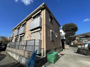 ロータスの画像